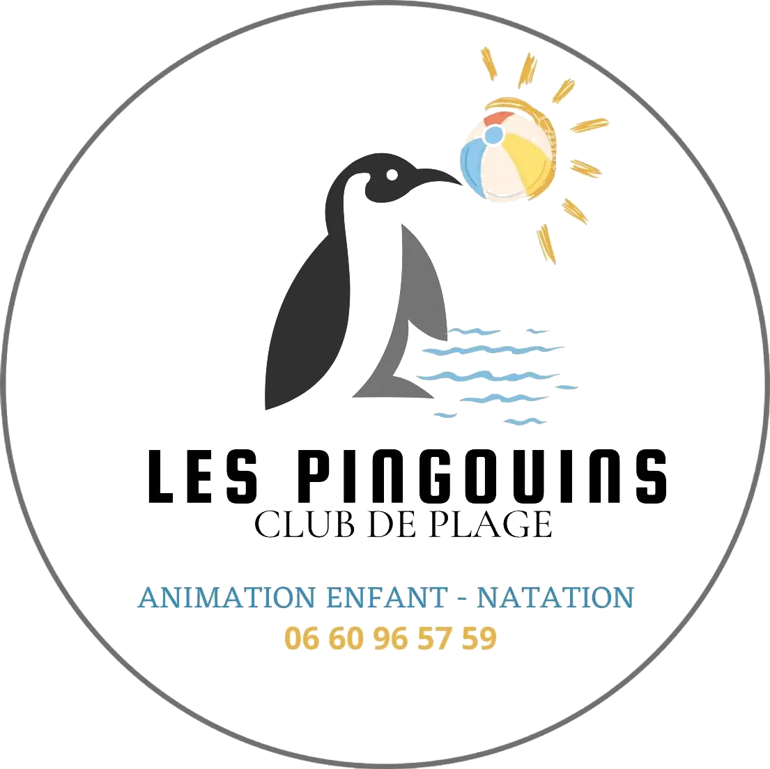 Logo club des pingouins